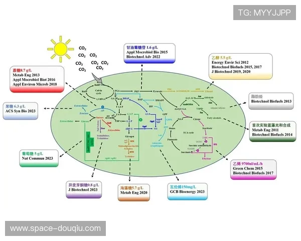 代谢工程材料研究探索生物传感界面